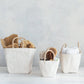 Cotton Canvas Containers w/ Braided Raffia Handles