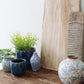 Decorative Terra-cotta Planter