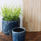 Decorative Terra-cotta Planter