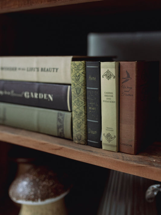 Mini Book Storage Box