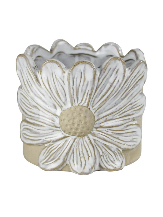 Daisy Cachepot