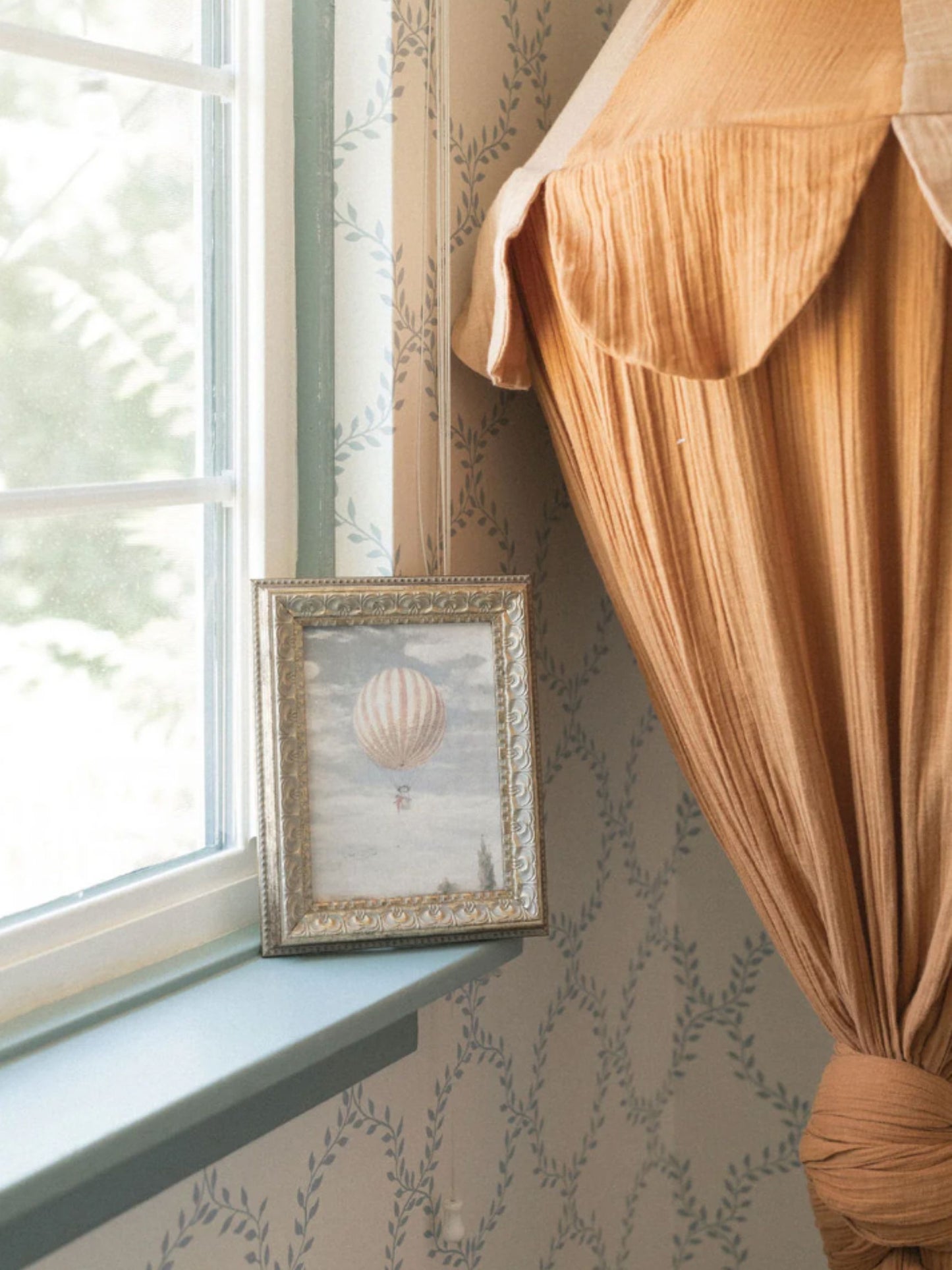 Air Balloon Framed Picture