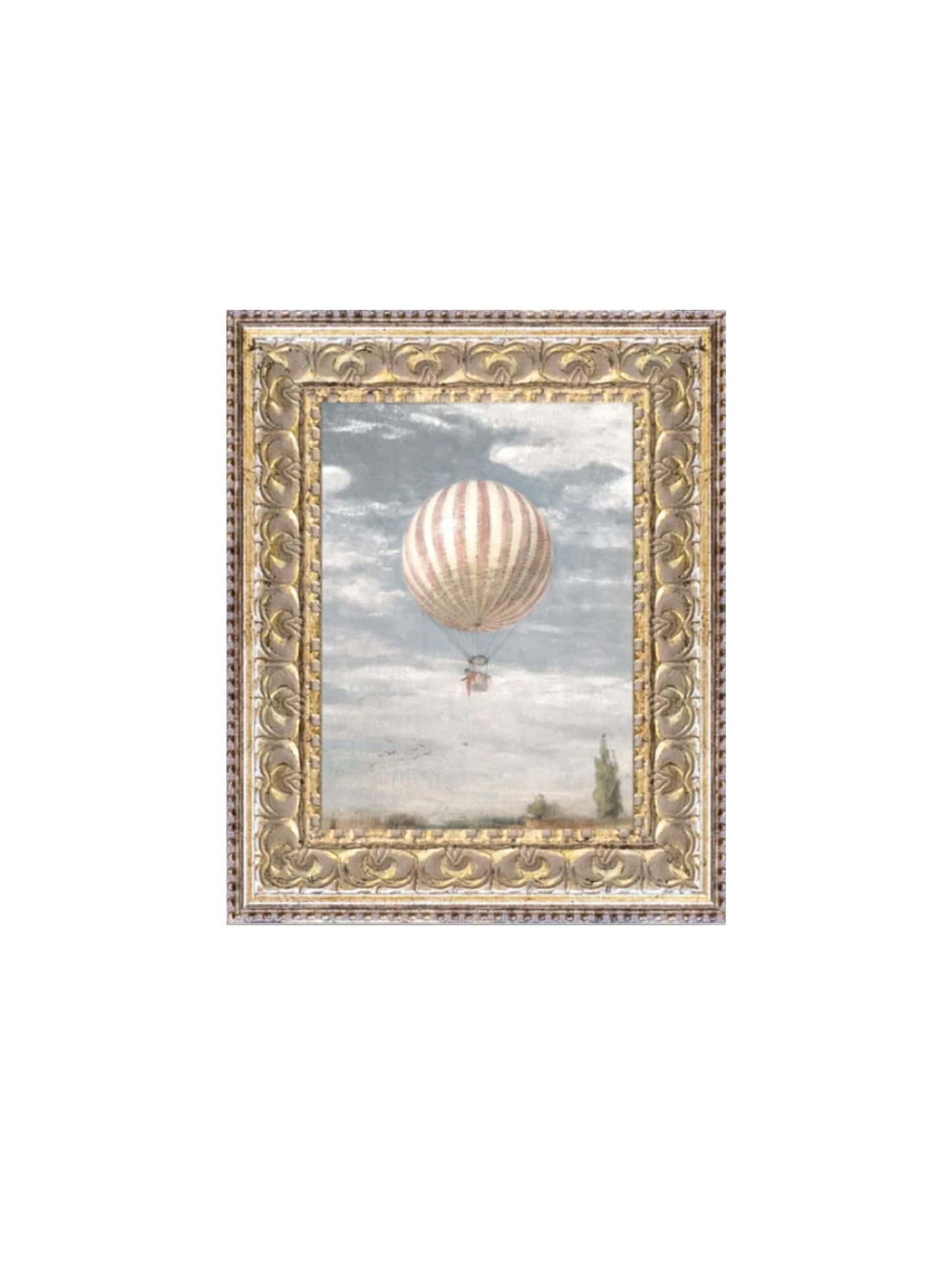 Air Balloon Framed Picture