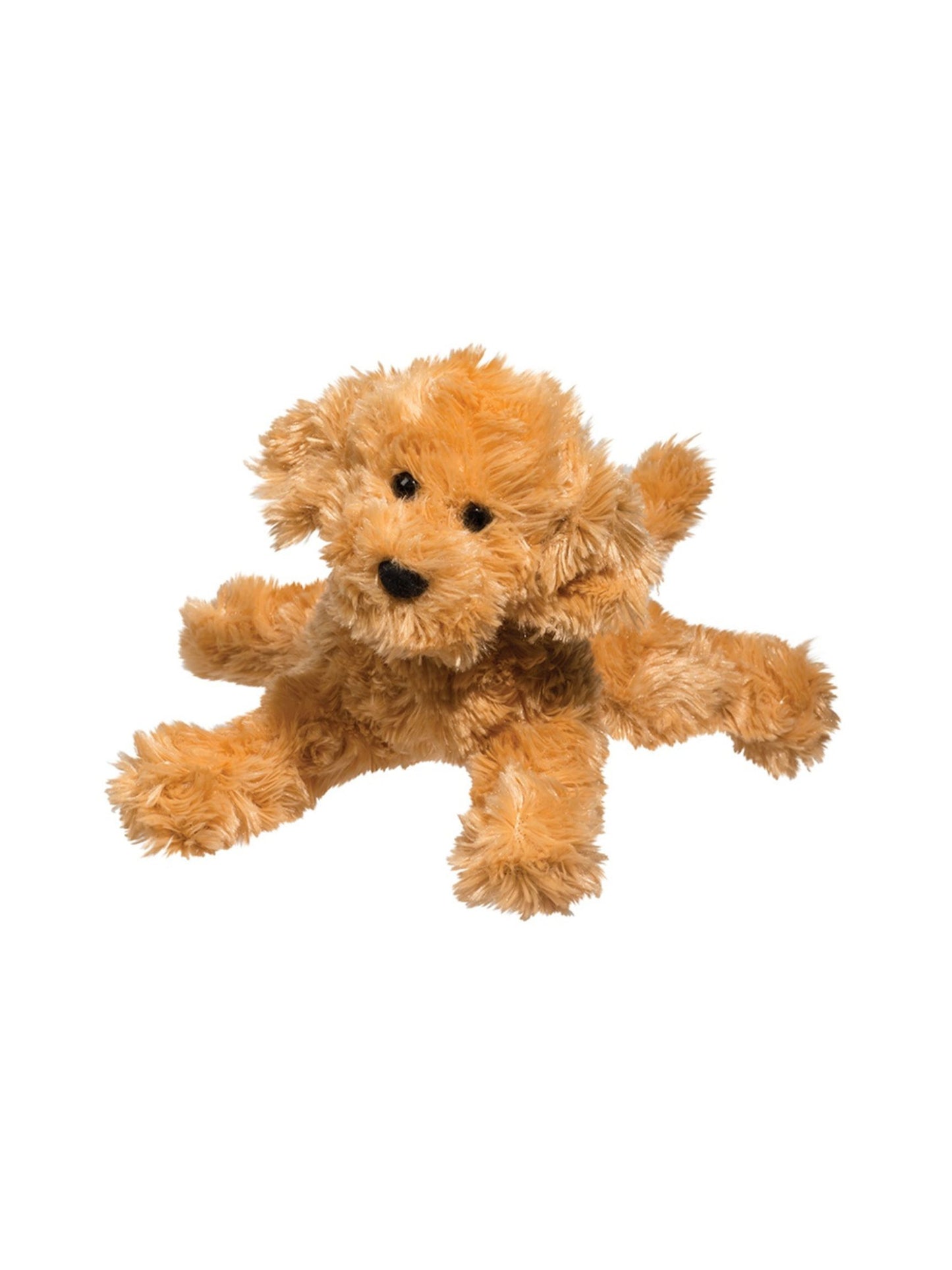 Molasses the Labradoodle