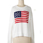 The Delaware Flag Sweater