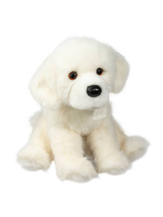 Everest the White Retriever