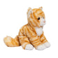 Gingie the Striped Cat