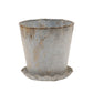 Distressed Metal Planter with Pleated Saucer