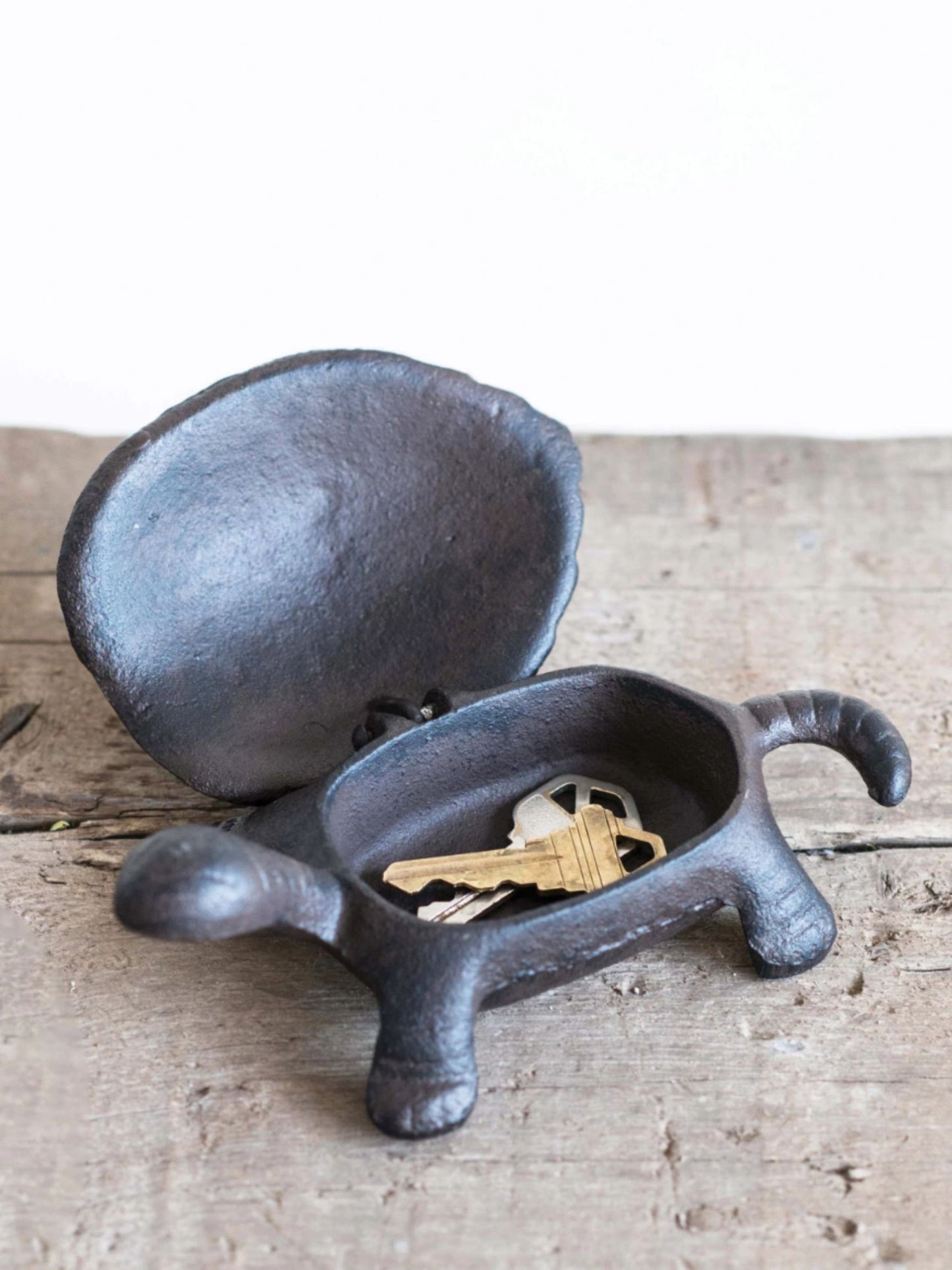 Decorative Cast Iron Turtle Key Box