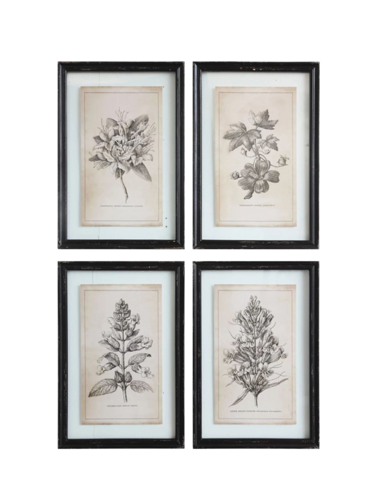 Framed Wall Decor with Floral Image - Pick Up Only