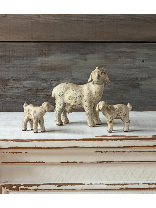 Goat Family