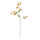 Faux Hellebore Flower Coral