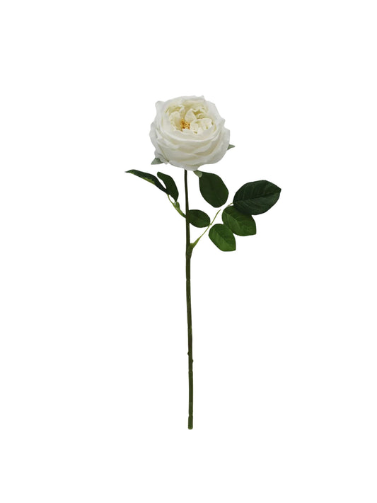 Faux Austin Rose White