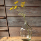 Faux Blooming Dill Yellow