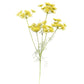 Faux Blooming Dill Yellow