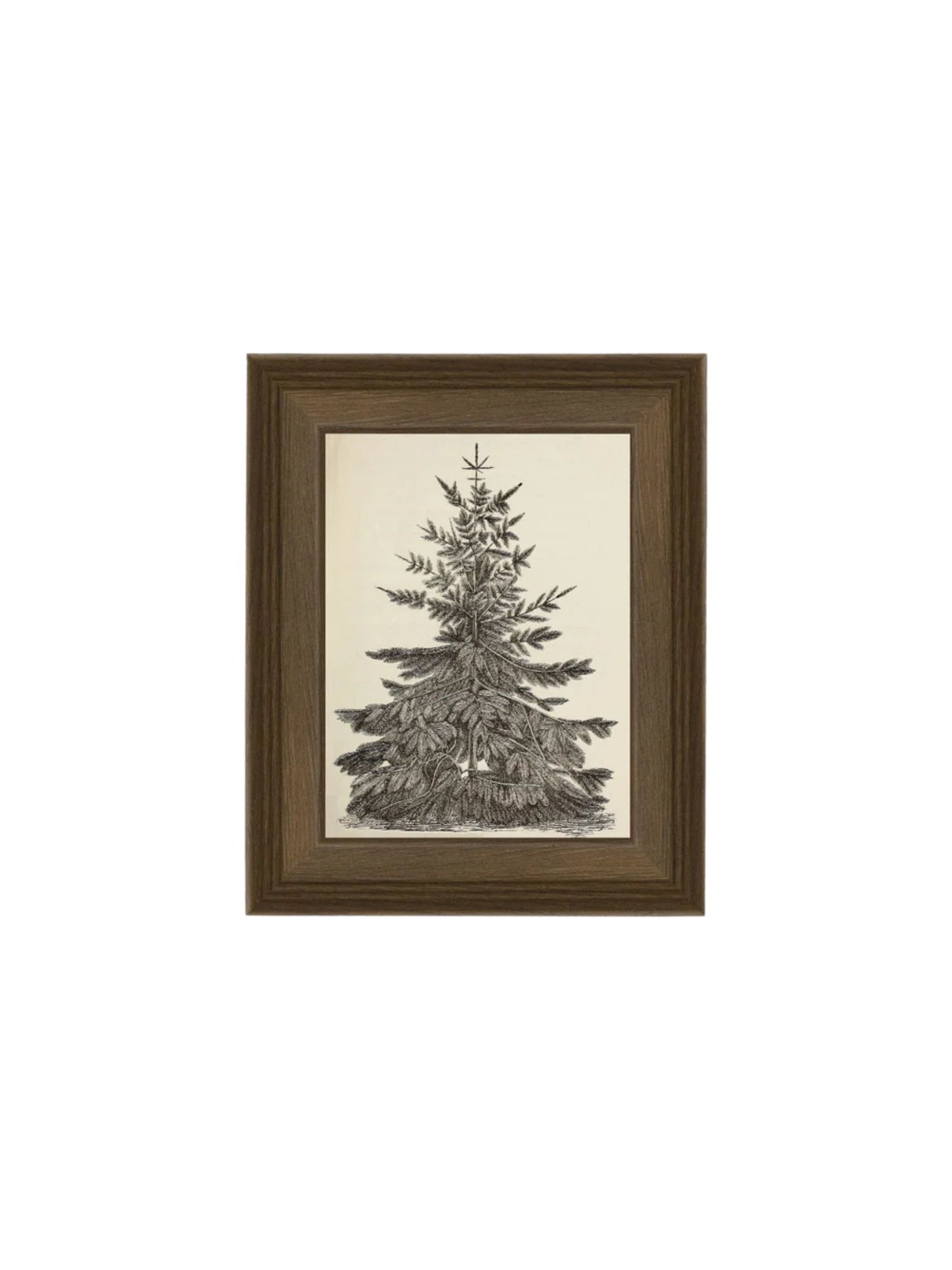 Vintage Pine Tree Framed Picture