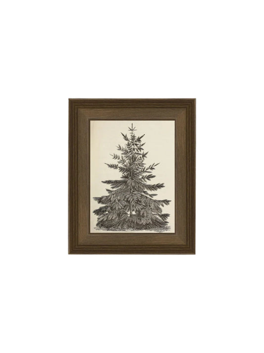 Vintage Pine Tree Framed Picture