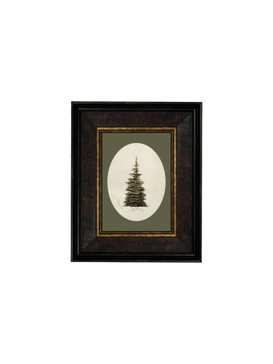 Oval Matte Tree Framed Picture