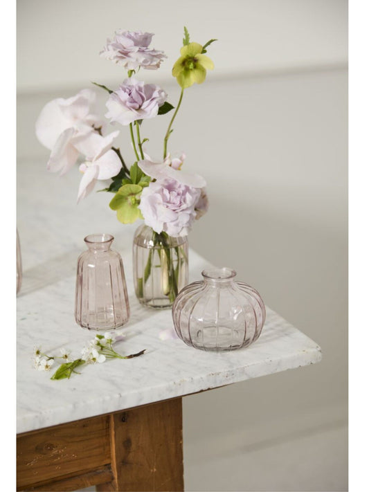 Livi Budvase
