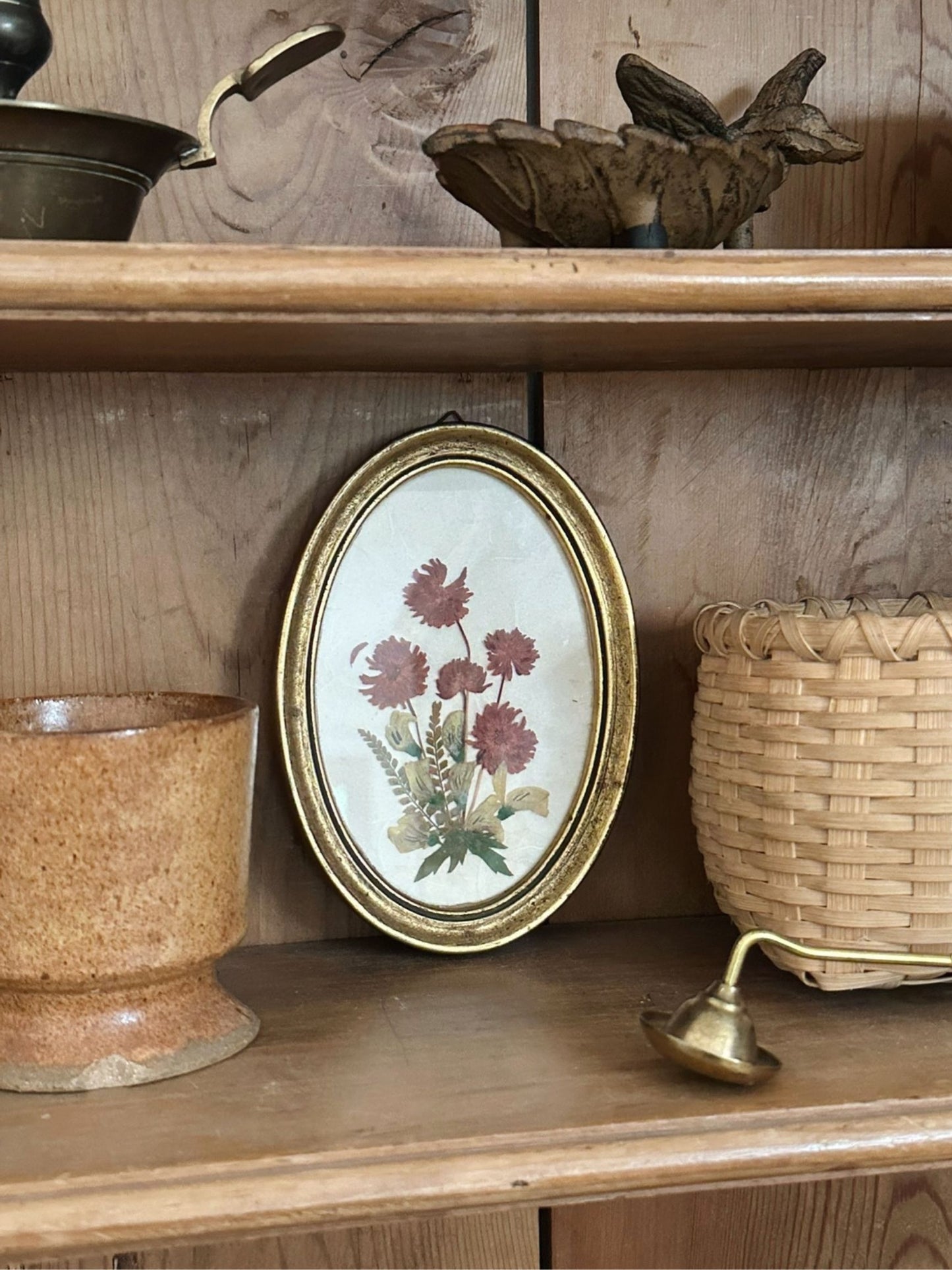 Vintage Pressed Dried Flower Picture