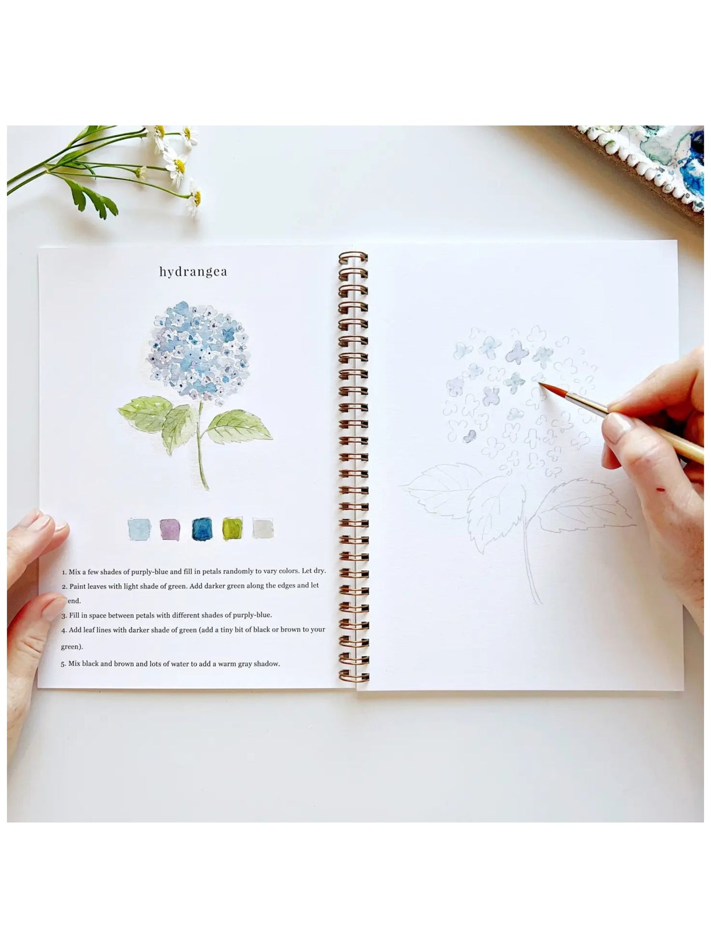 Flowers Watercolor Workbook