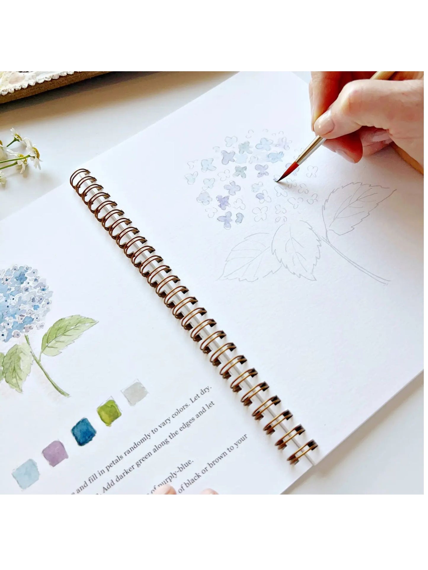 Flowers Watercolor Workbook
