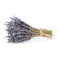 MINI French Lavender Bundle
