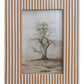 Resin Striped Photo Frame - White & Caramel