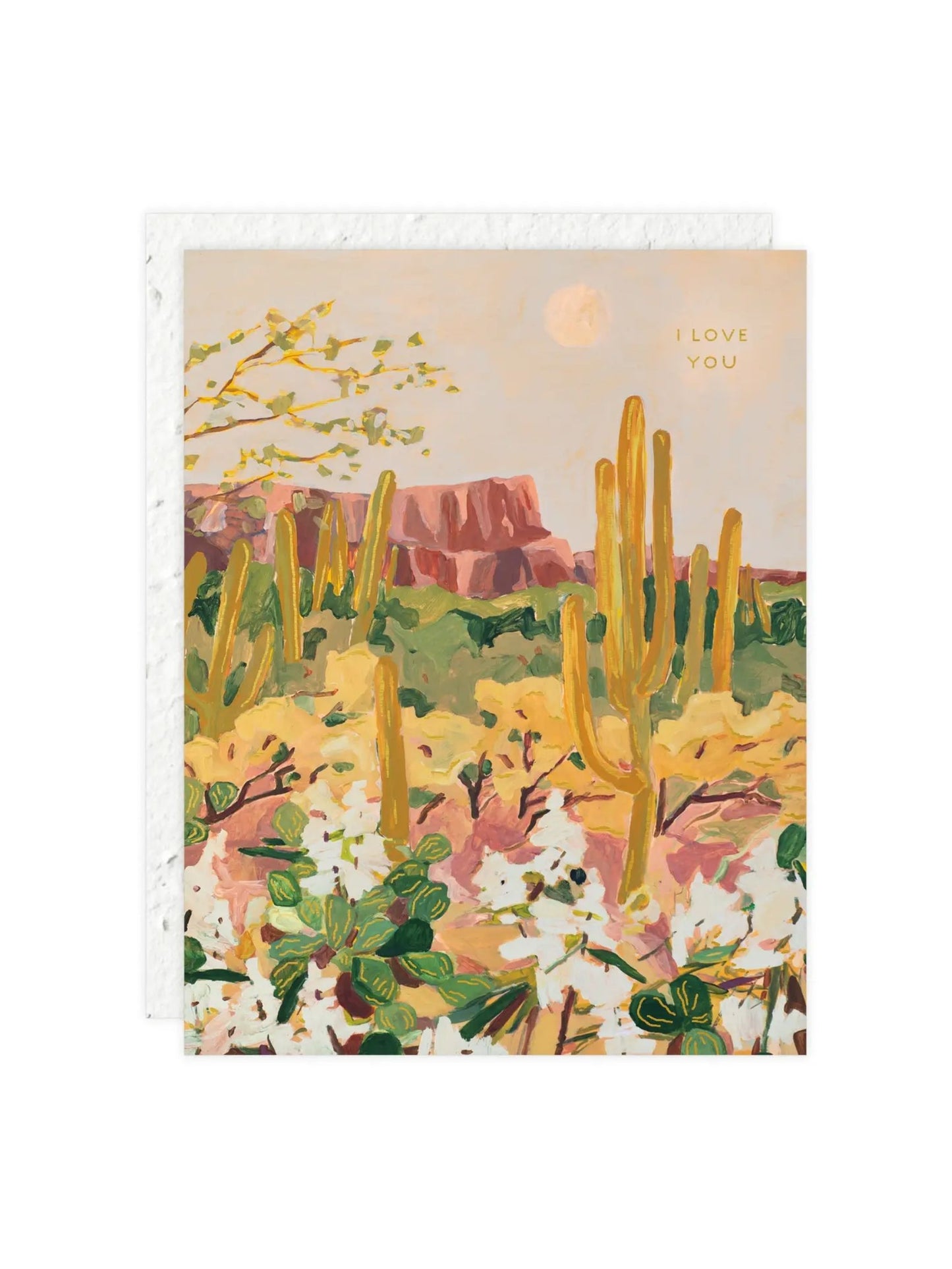 Desert Moonlight - Love + Friendship Card