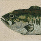 Bass Hook Pillow