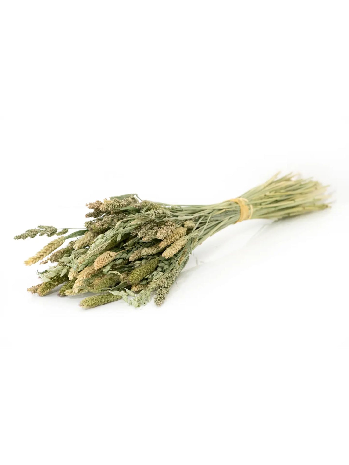Harvest Grains Bouquet - Pick Up Only
