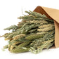 Harvest Grains Bouquet - Pick Up Only