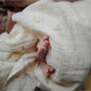 Organic Cotton Muslin Swaddle Blanket - Sun