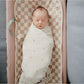 Organic Cotton Muslin Swaddle Blanket - Bees