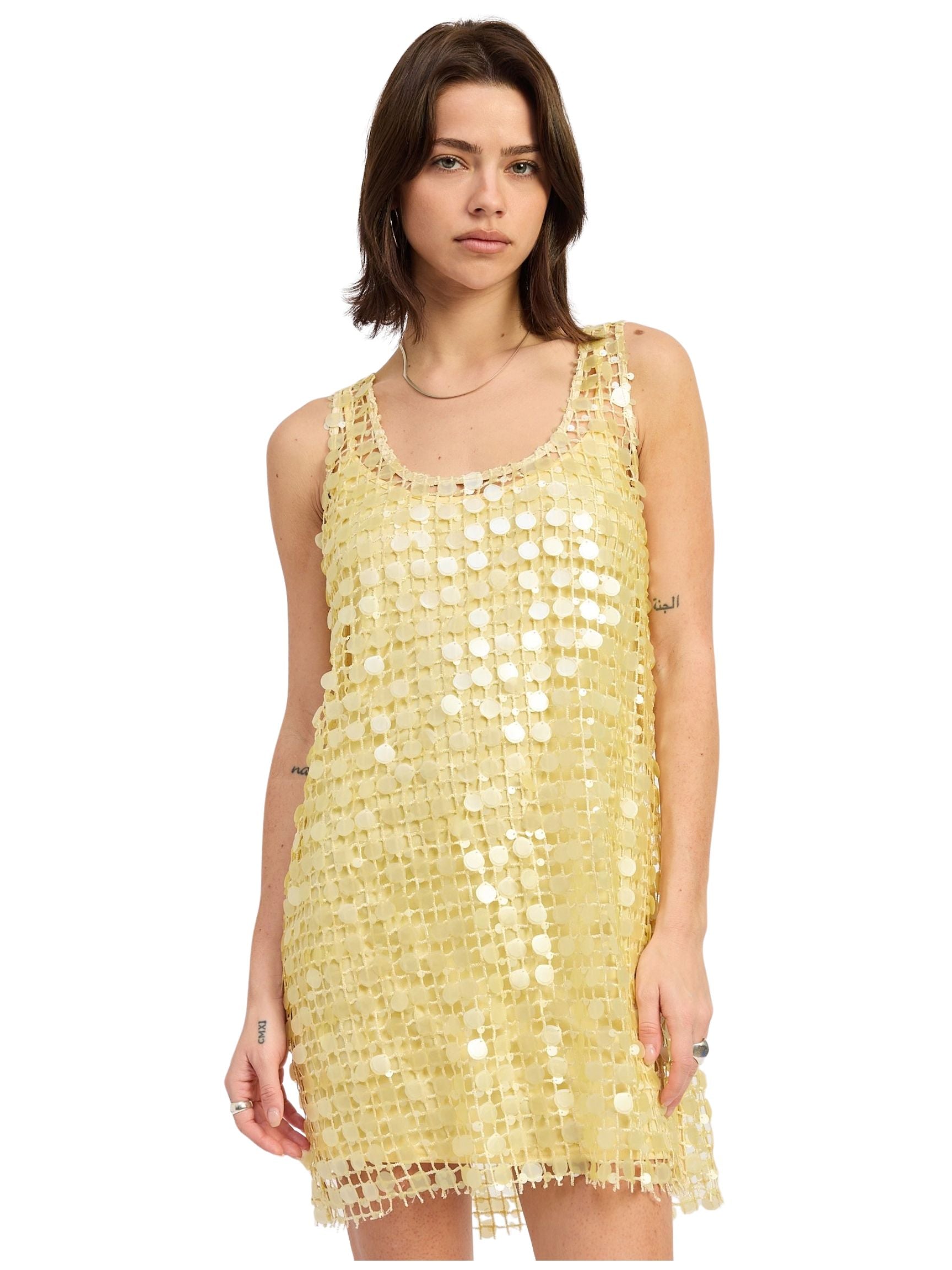 Mini Mesh Sleeveless Sequin Dress – The Native One