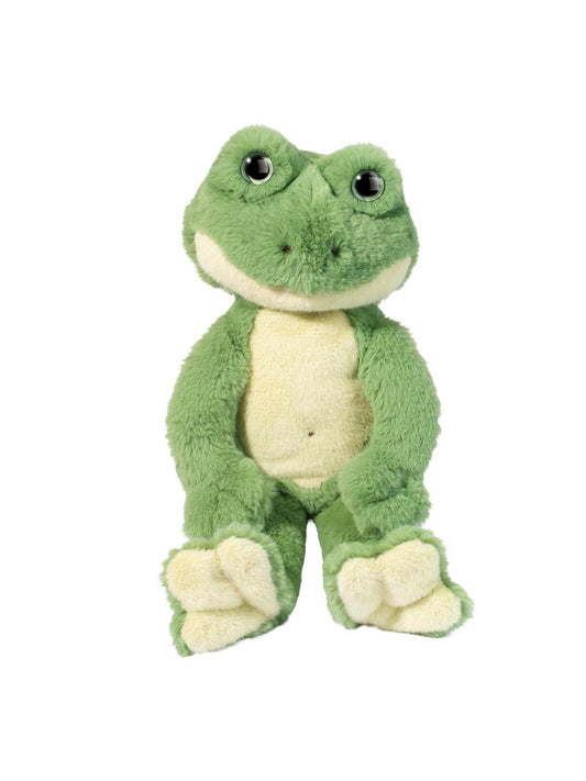 Floyd The Frog
