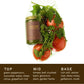 Tomato Vines– Standard Candle