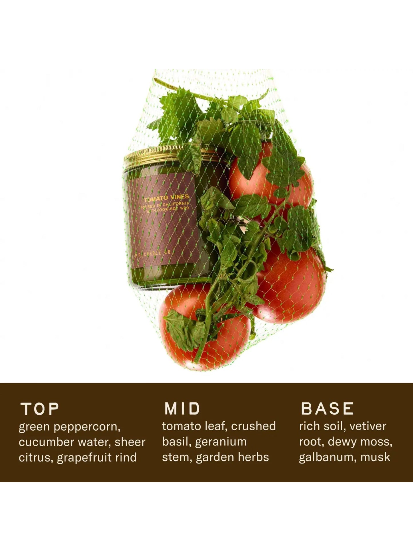 Tomato Vines– Standard Candle