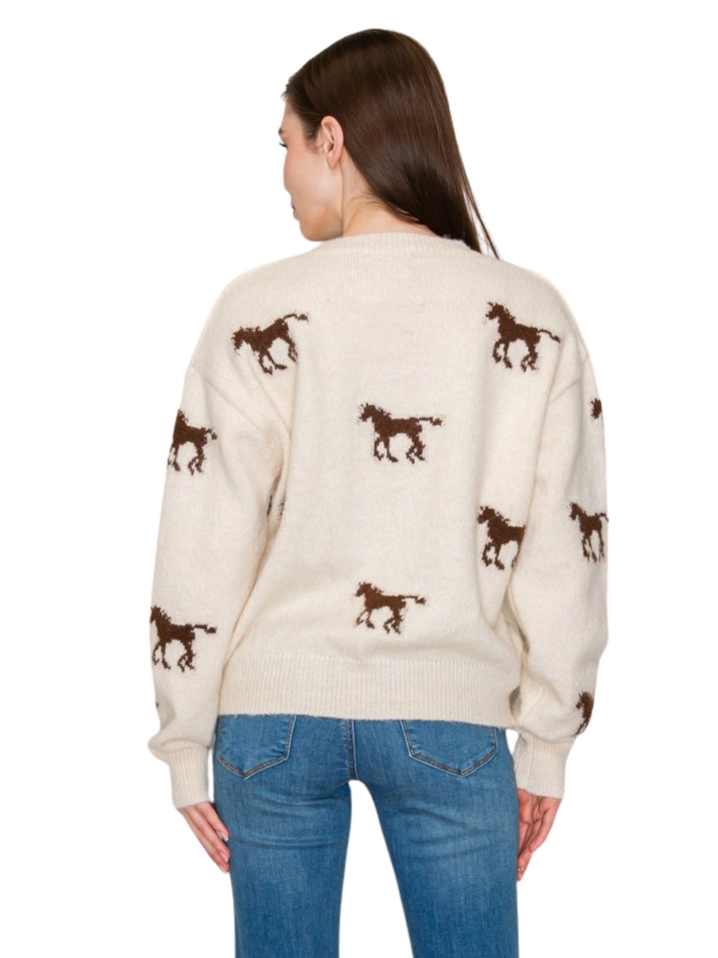 Horse Penny Pattern Sweater