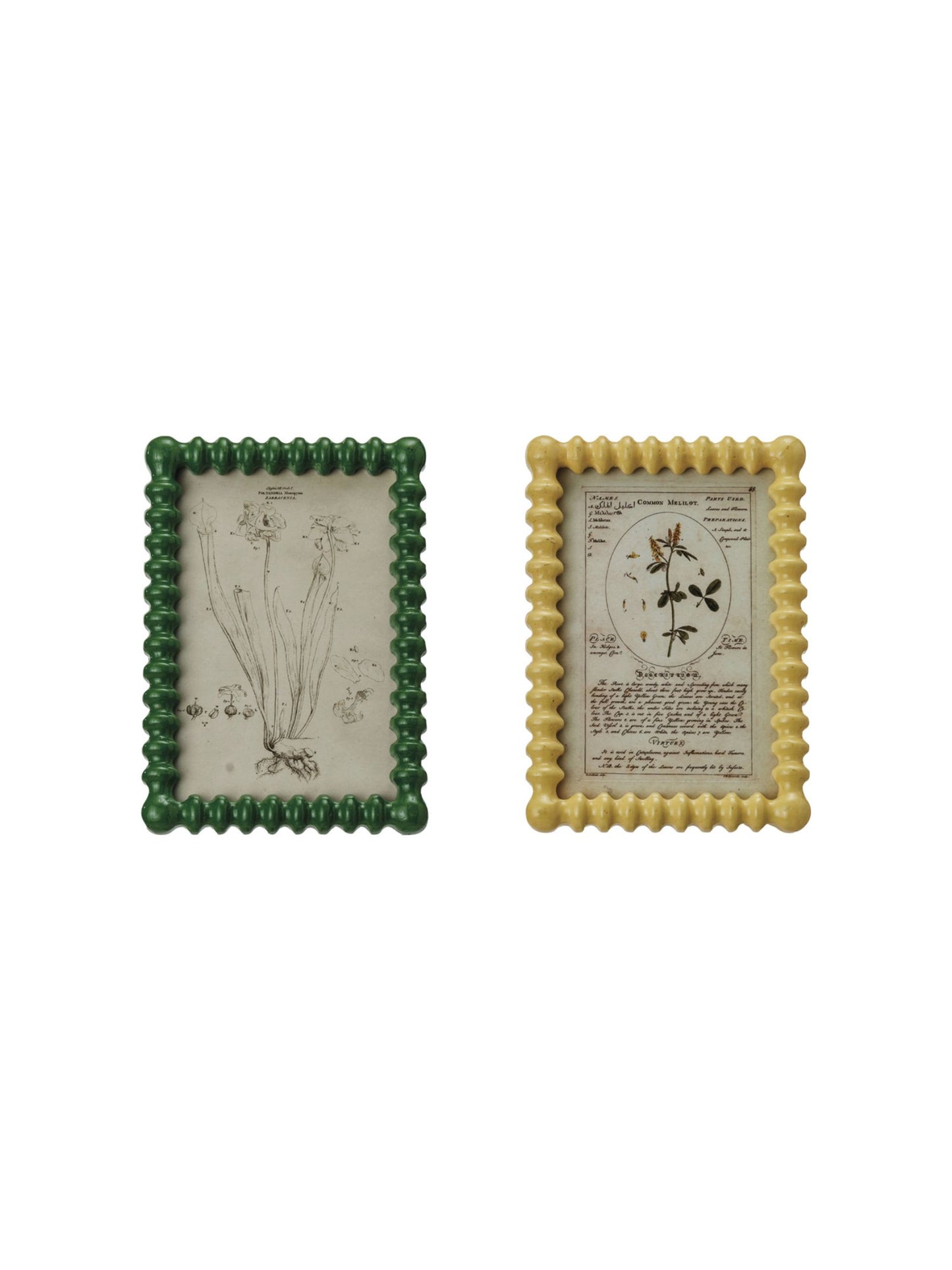 Picture Frame w/ Vintage Reproduction Image