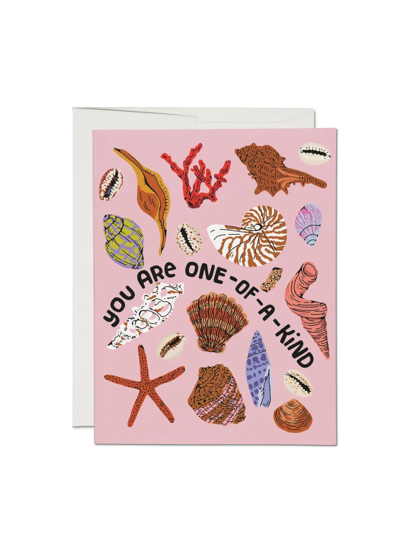 Special Seashell Card