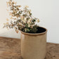 Vintage Cream Crock - Pick Up Only