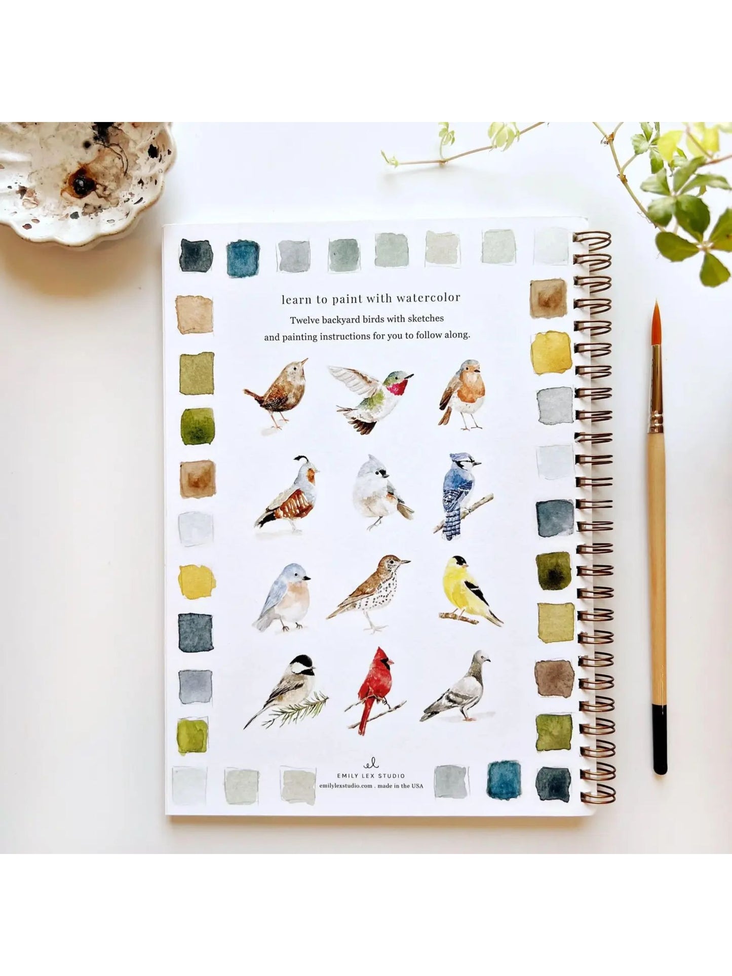 Birds Watercolor Workbook