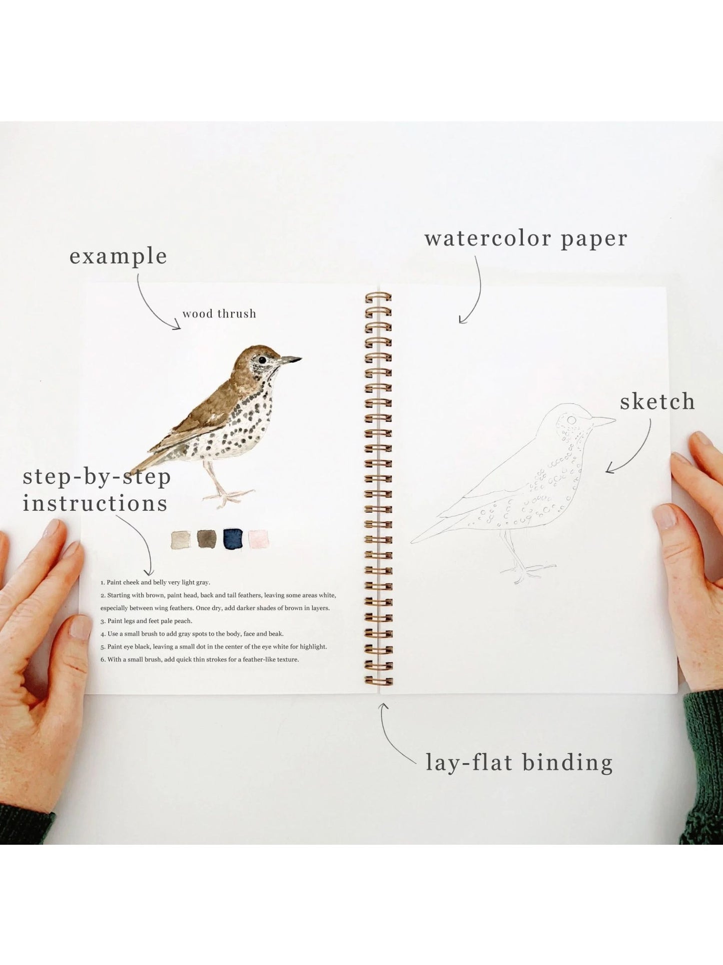 Birds Watercolor Workbook