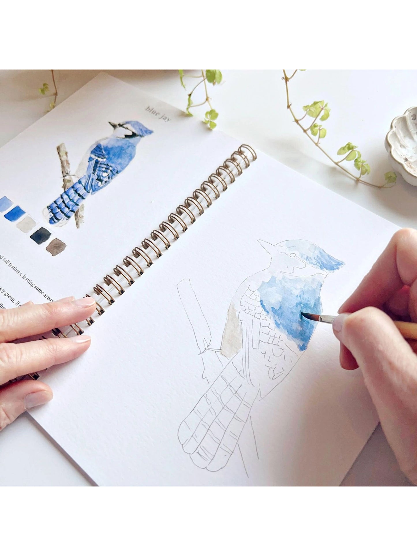 Birds Watercolor Workbook