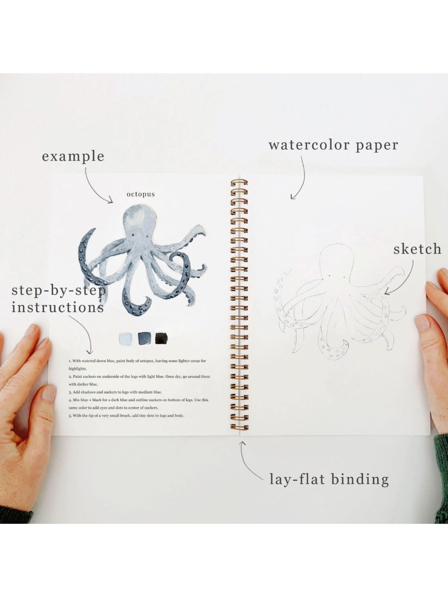 Seaside Watercolor Workbook