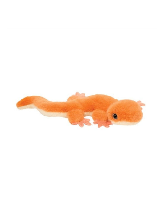 Sam the Salamander