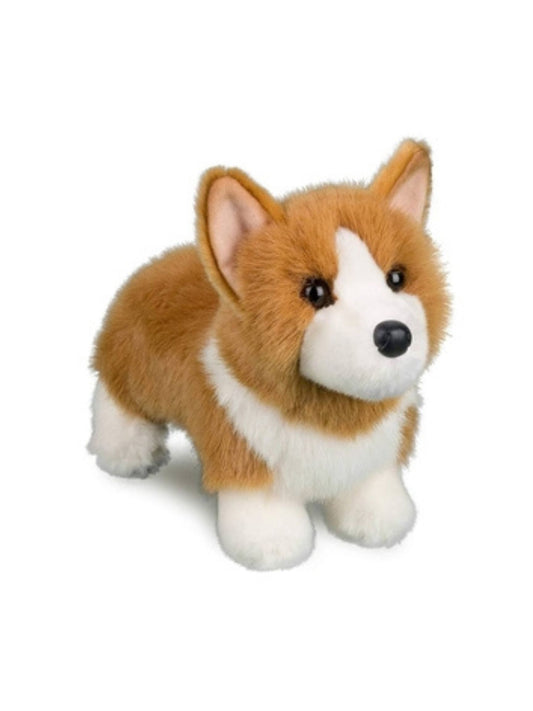 Louie the Corgi