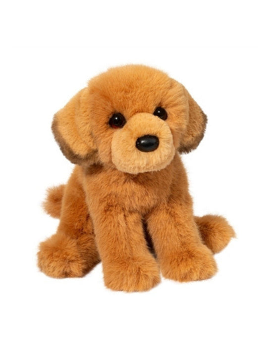 August the Golden Retriever