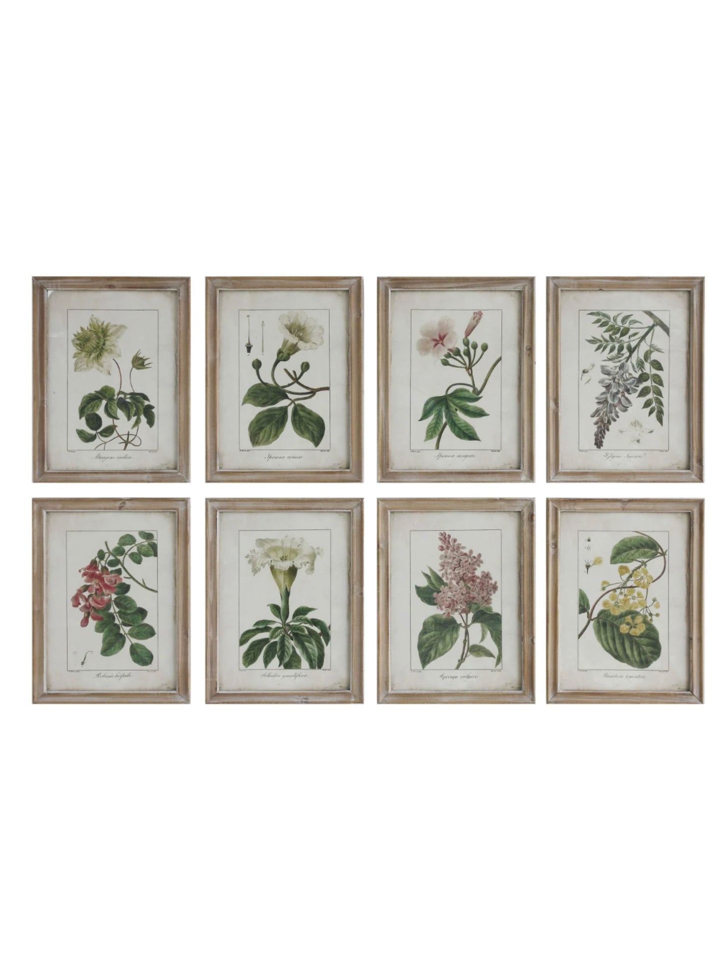 Framed Wall Decor with Floral Image - Pick Up Only